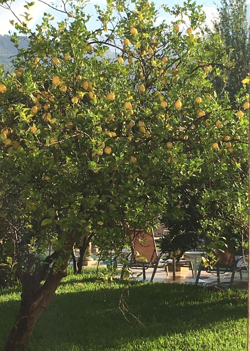 Finca Cas Sant