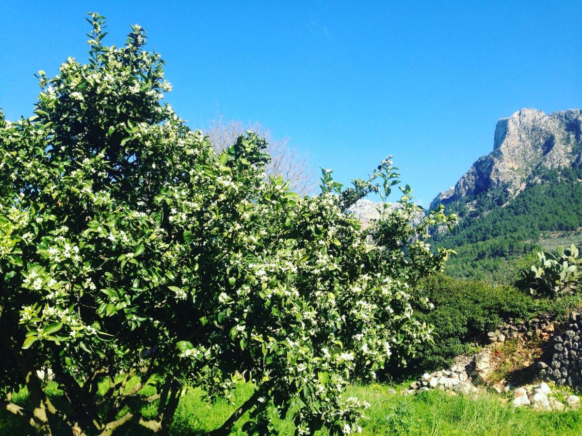 Finca Cas Sant