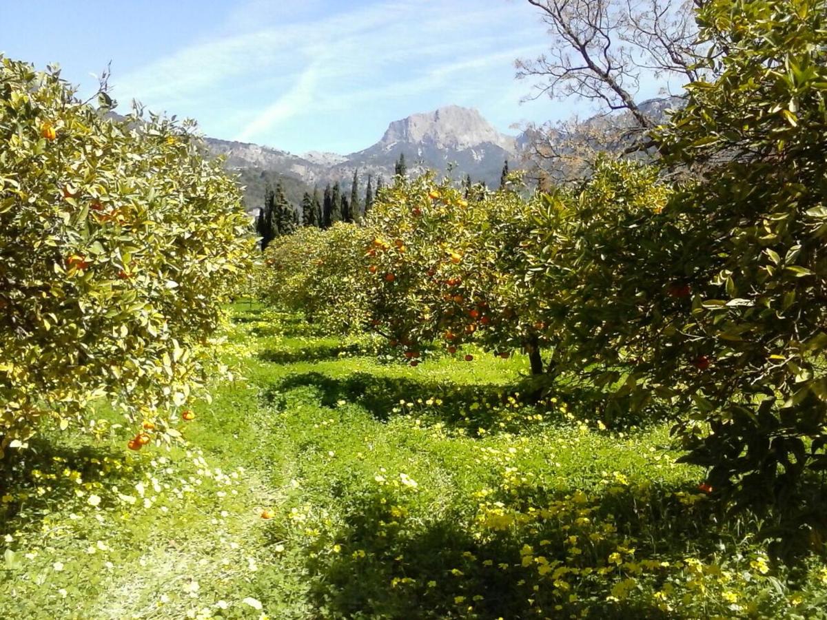 Finca Cas Sant