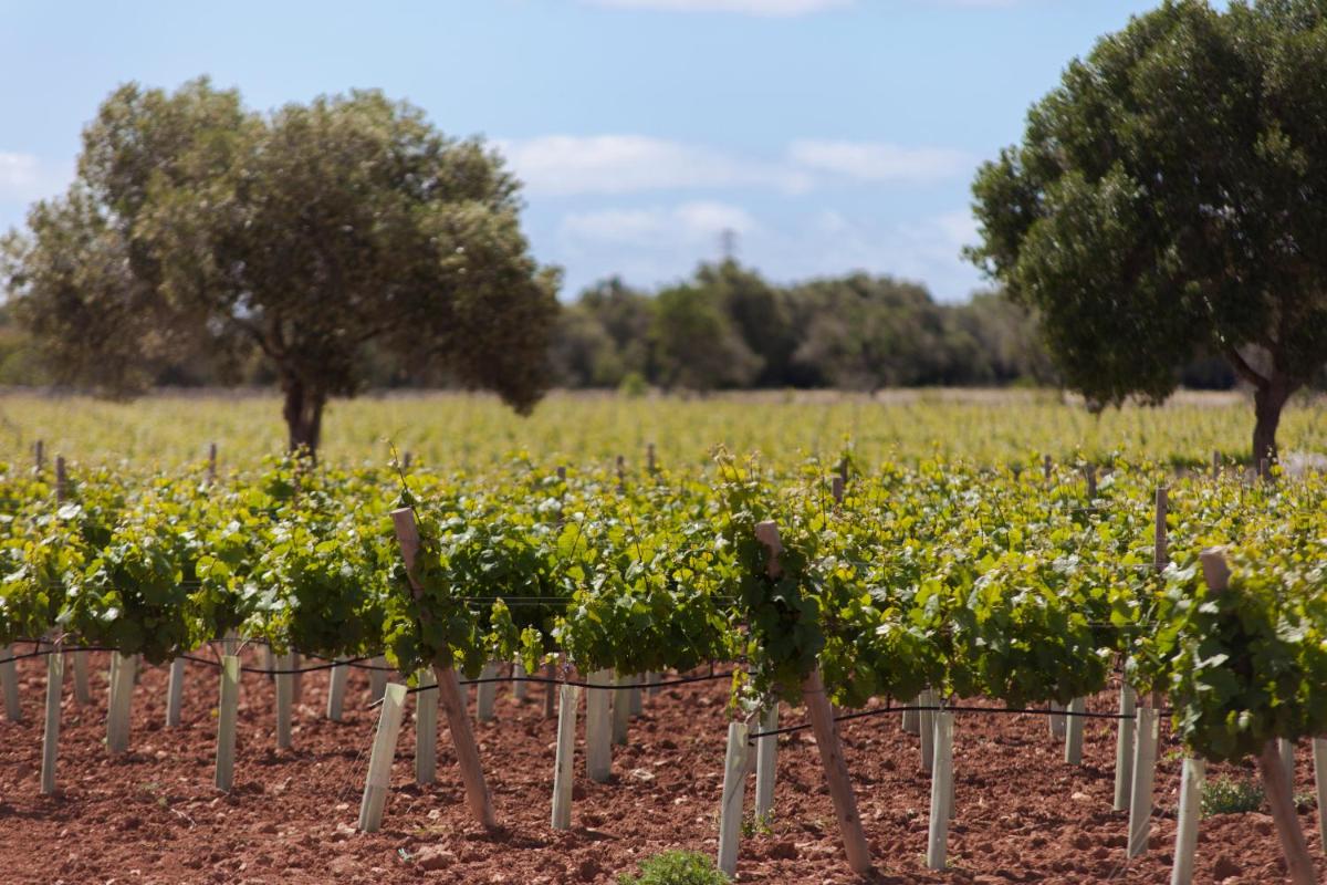 Finca Gomera by Itinerem - Adults Only