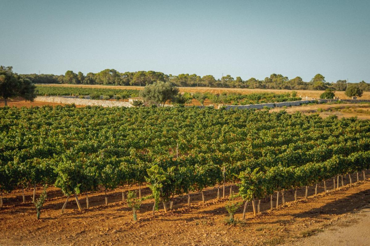 Finca Gomera by Itinerem - Adults Only