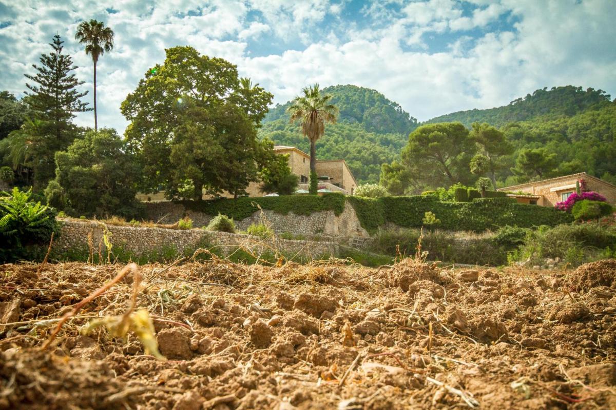 Finca Son Brondo Apartments