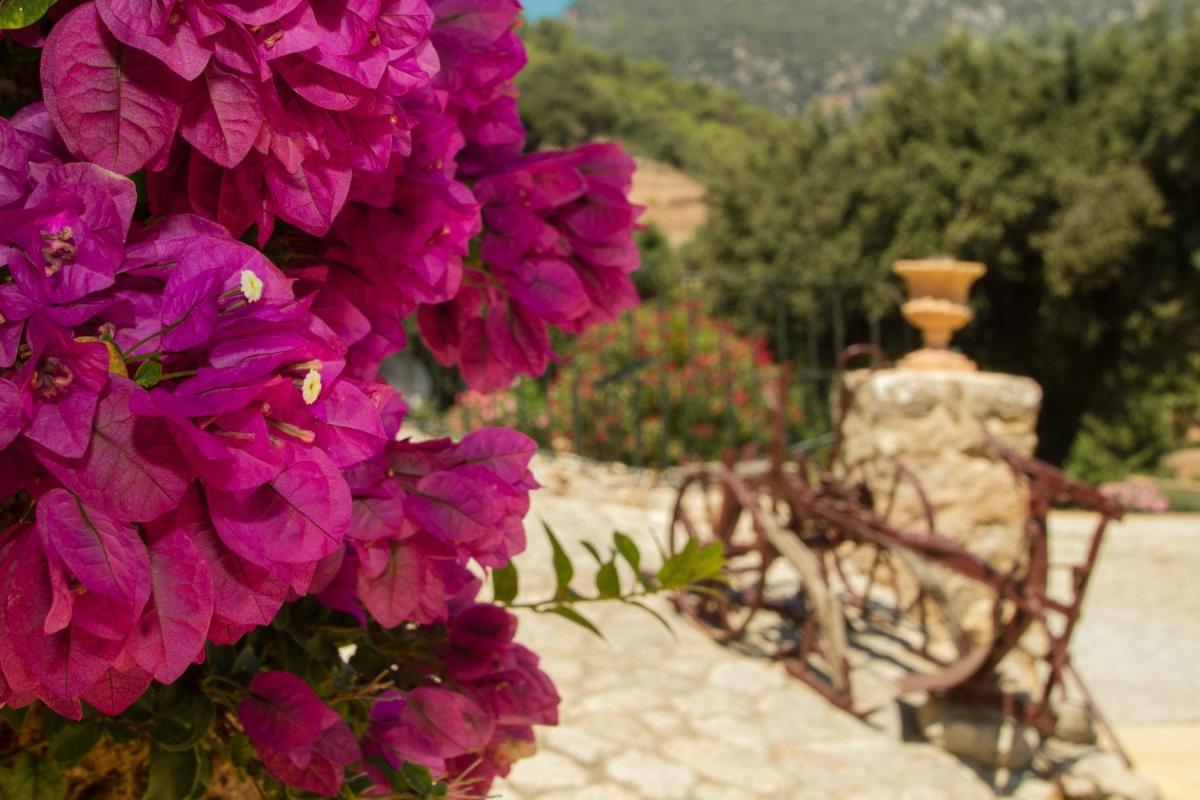 Finca Son Brondo Apartments