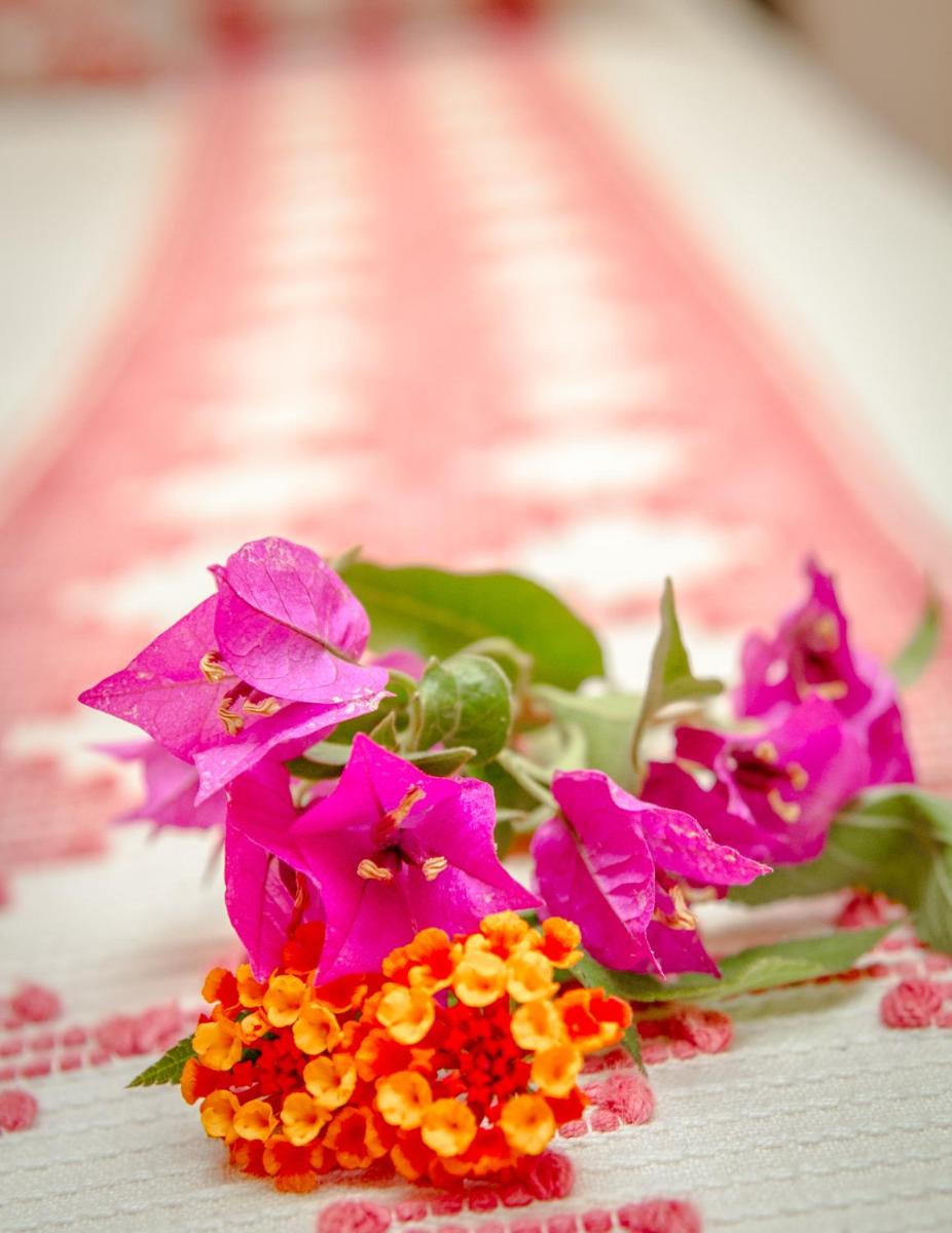 Finca Son Brondo Apartments