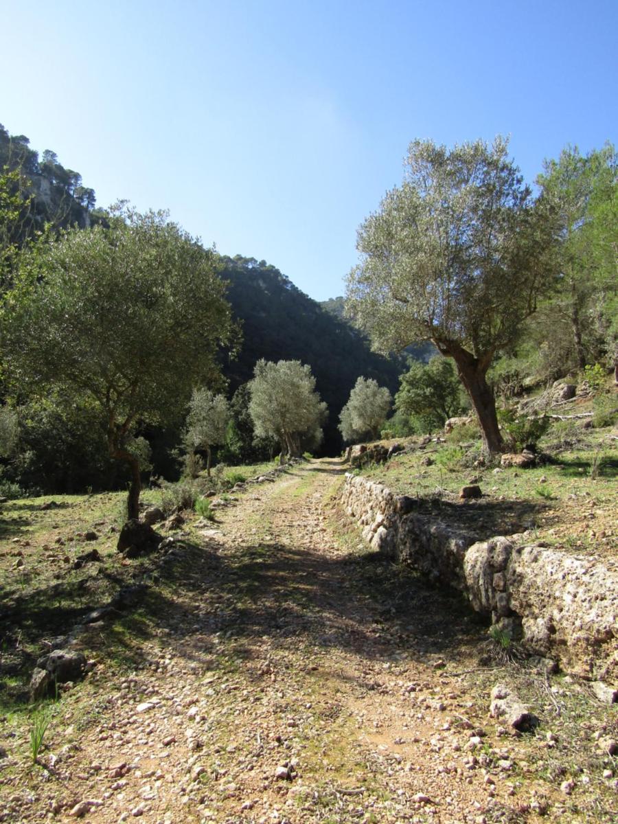 Finca Son Brondo Apartments