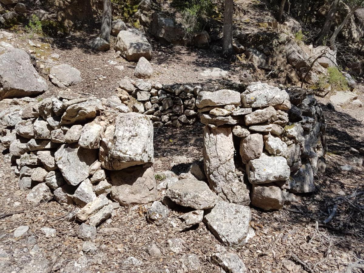 Finca Son Brondo Apartments