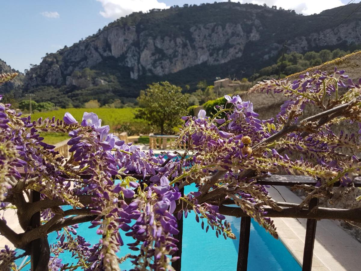 Finca Son Brondo Apartments