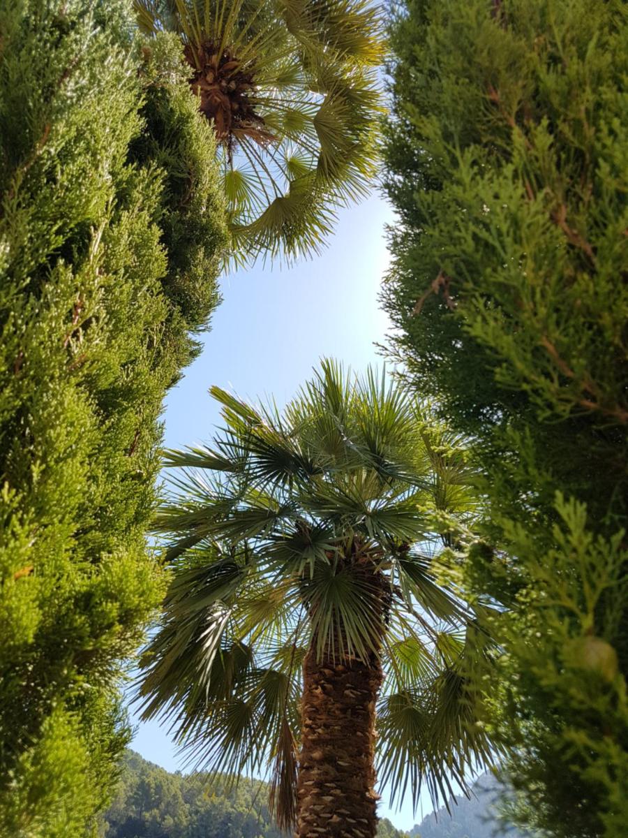 Finca Son Brondo Apartments