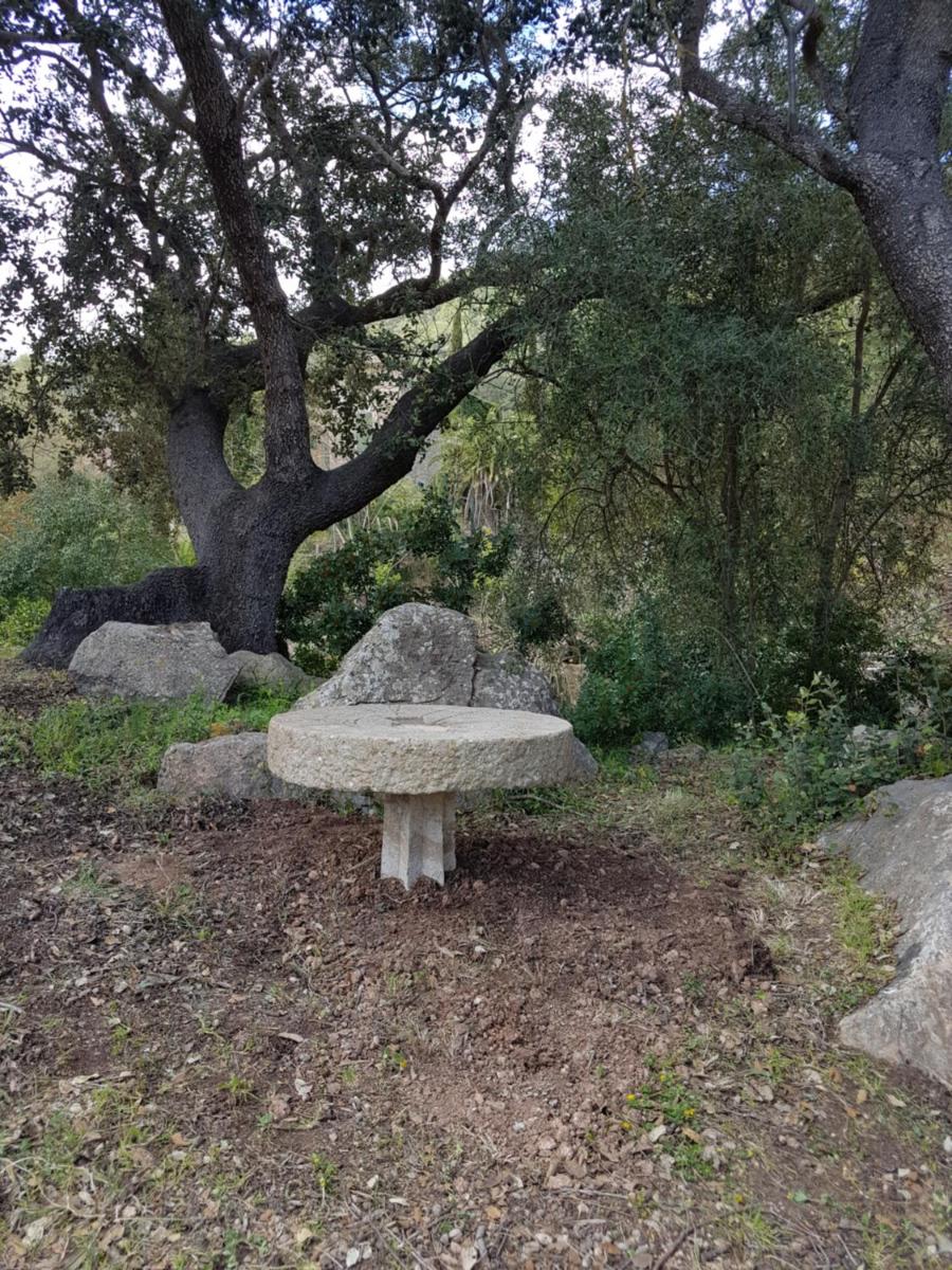 Finca Son Brondo Apartments