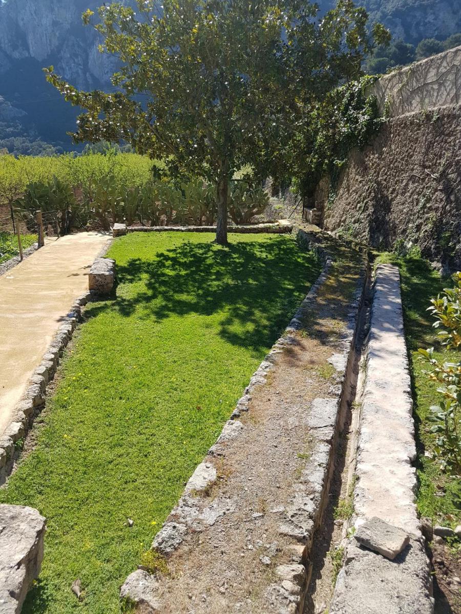 Finca Son Brondo Apartments