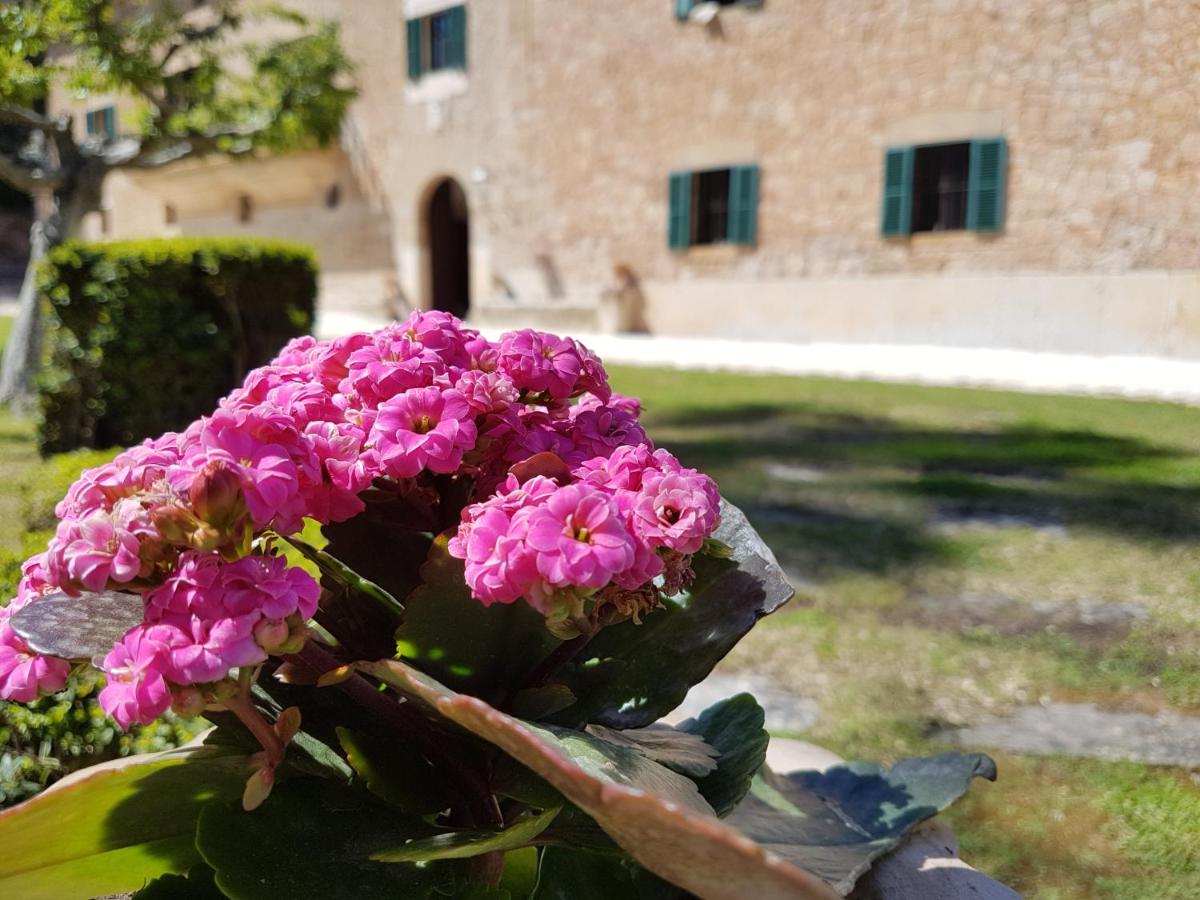 Finca Son Brondo Apartments