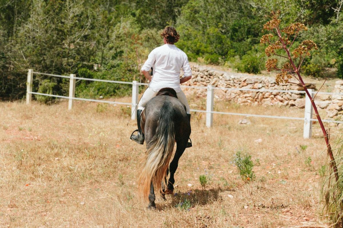 The Finca Ibiza