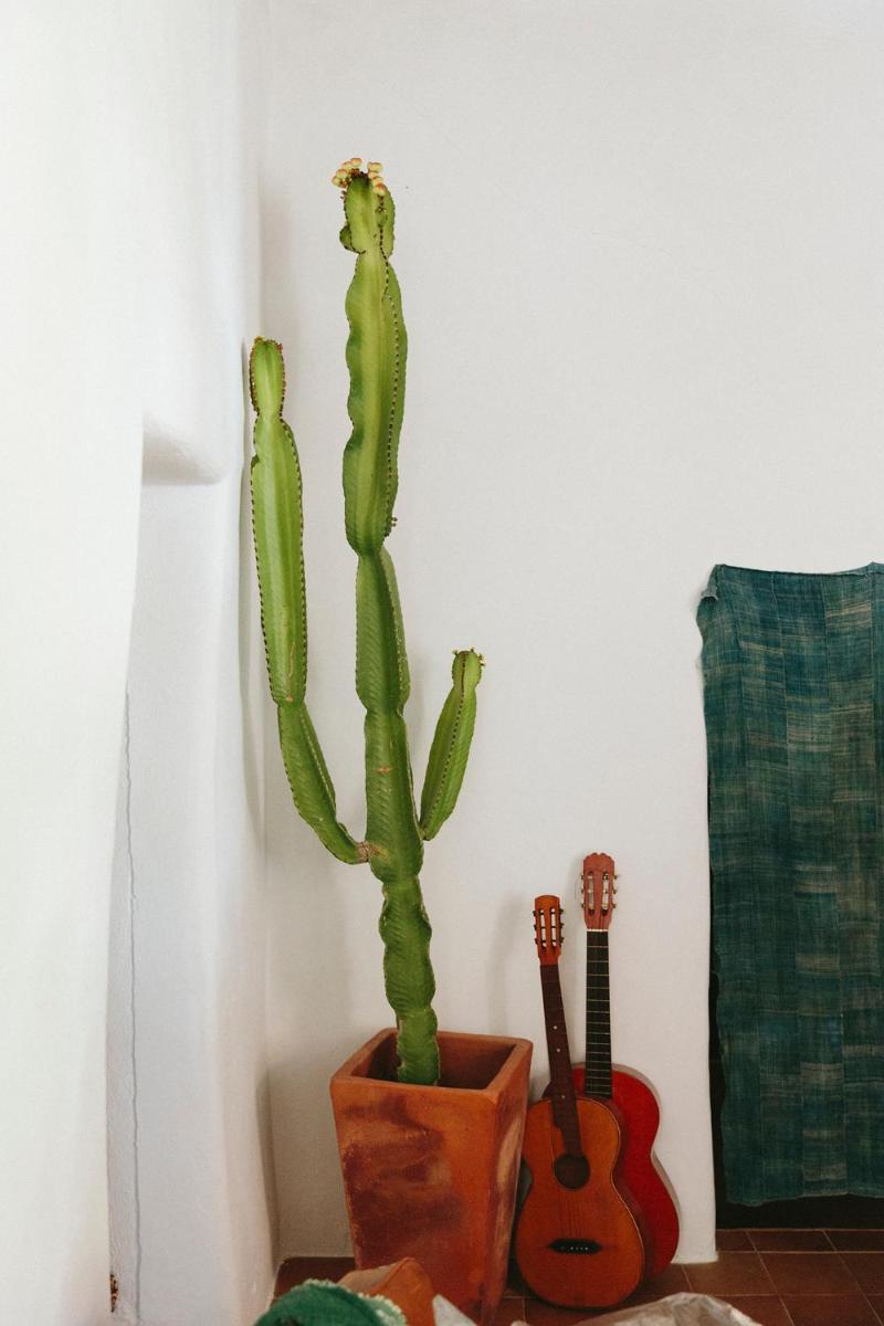 The Finca Ibiza
