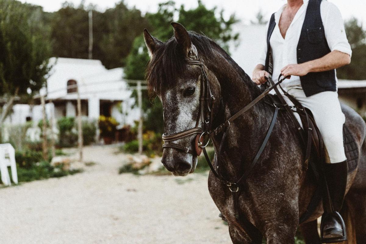 The Finca Ibiza