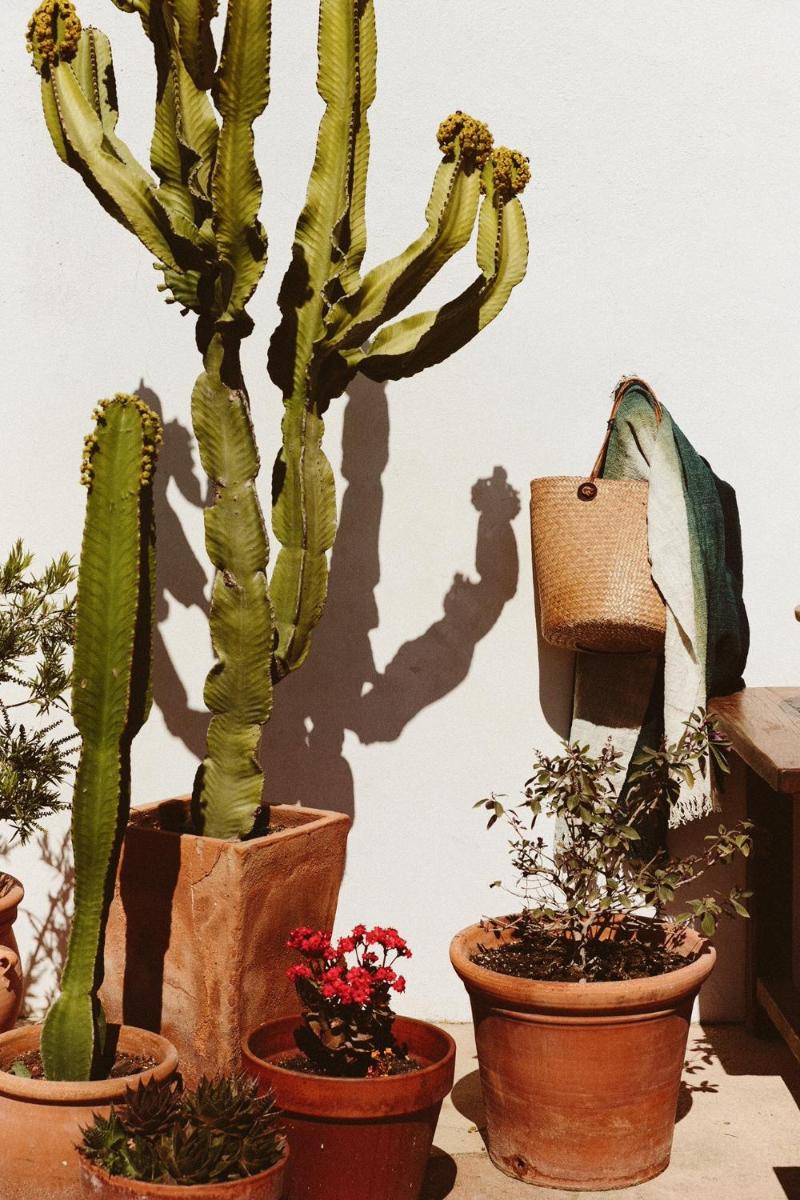 The Finca Ibiza