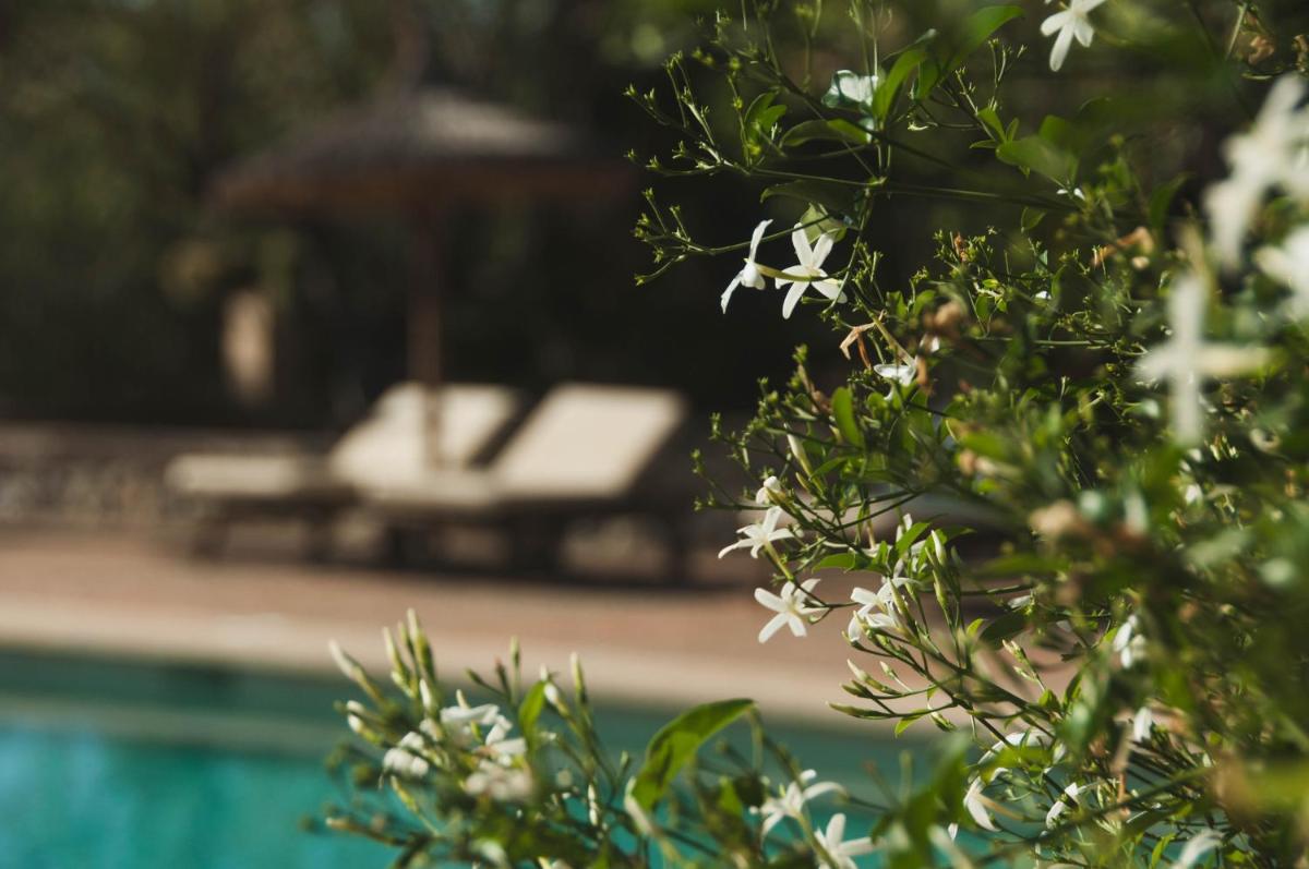 Finca Can Estades