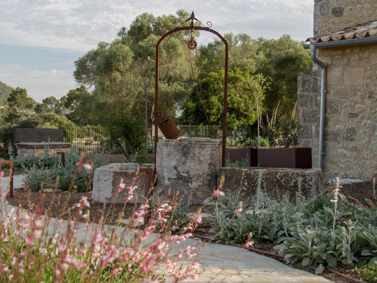 Fincahotel Treurer - Olive Grove & Grand House - Adults Only