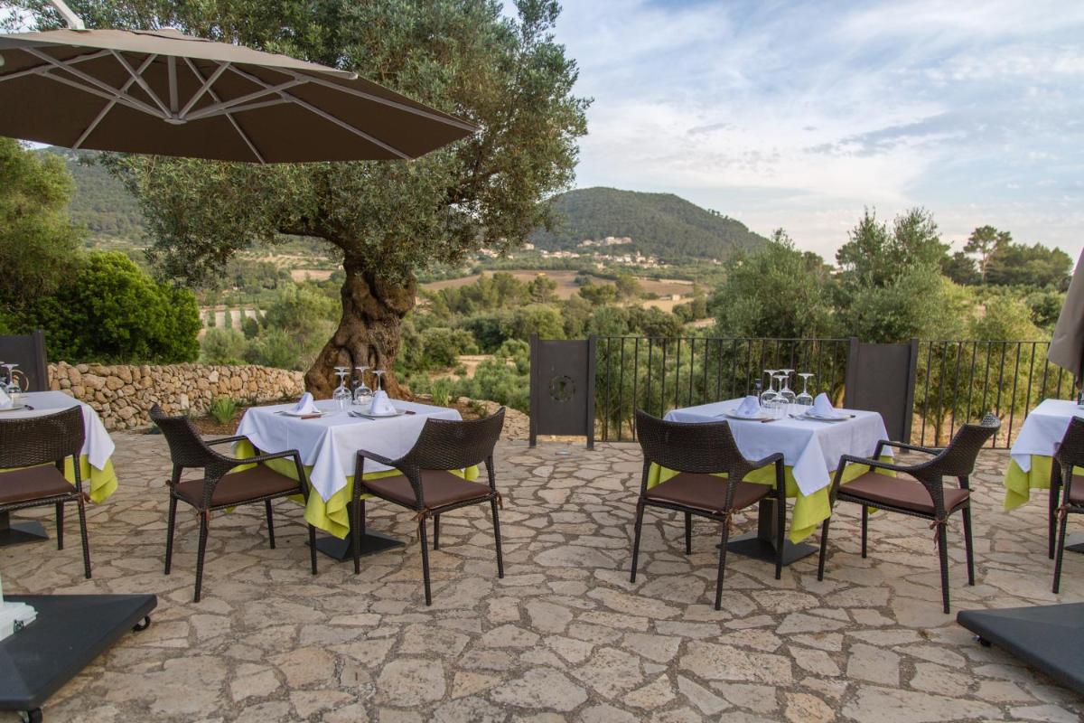 Fincahotel Treurer - Olive Grove & Grand House - Adults Only