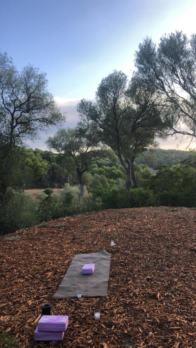 Fincahotel Treurer - Olive Grove & Grand House - Adults Only