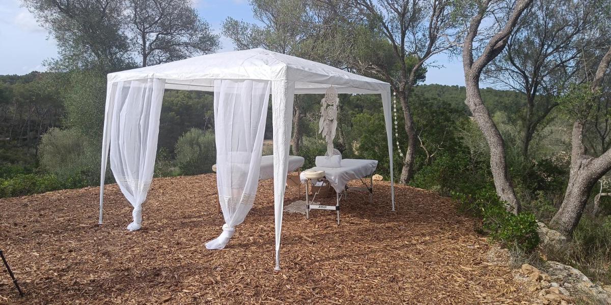 Fincahotel Treurer - Olive Grove & Grand House - Adults Only