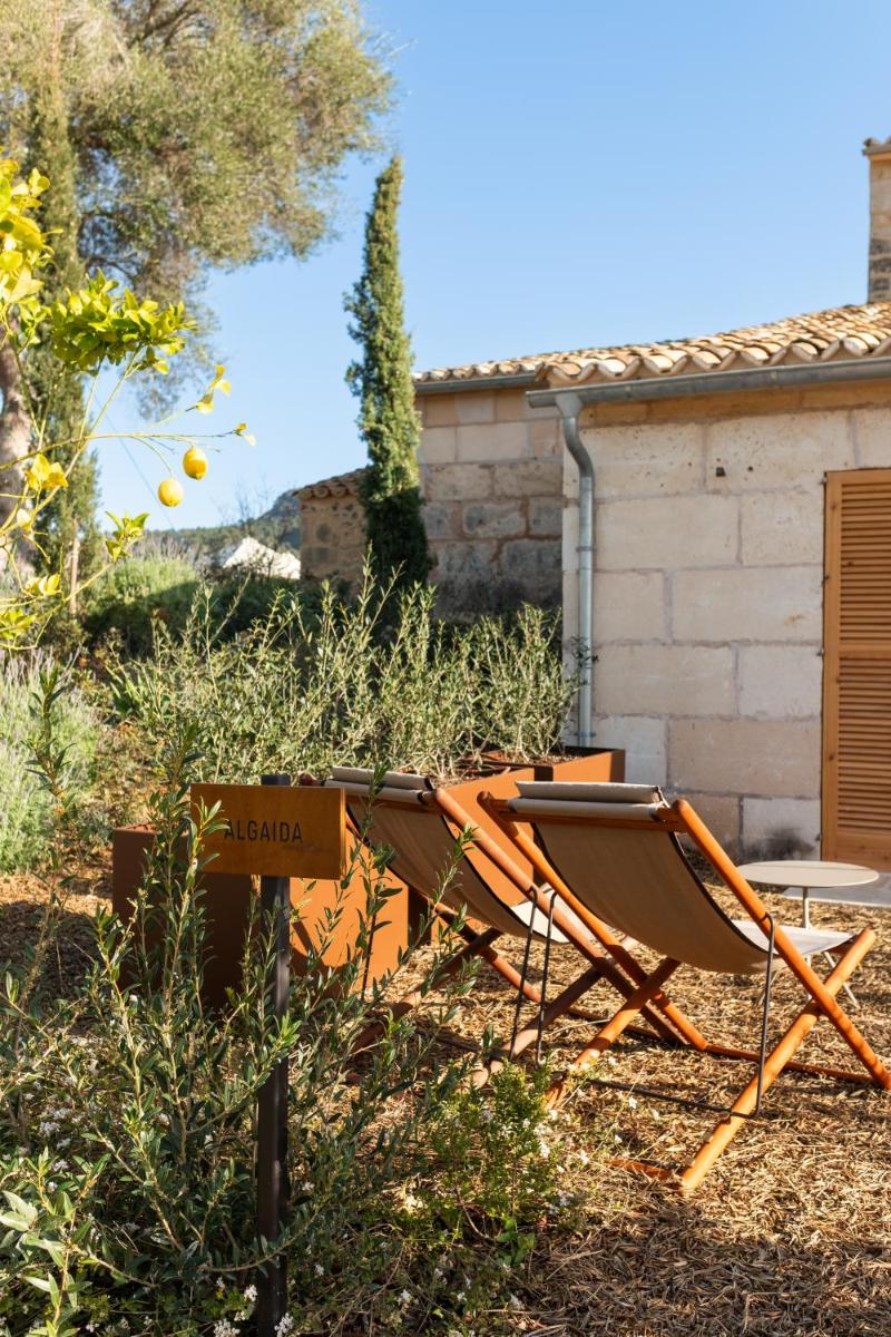Fincahotel Treurer - Olive Grove & Grand House - Adults Only
