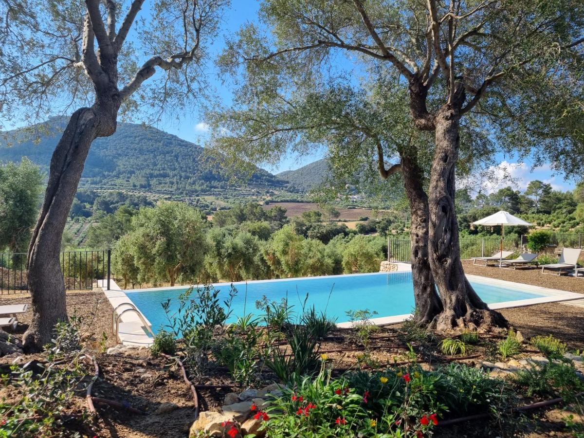 Fincahotel Treurer - Olive Grove & Grand House - Adults Only