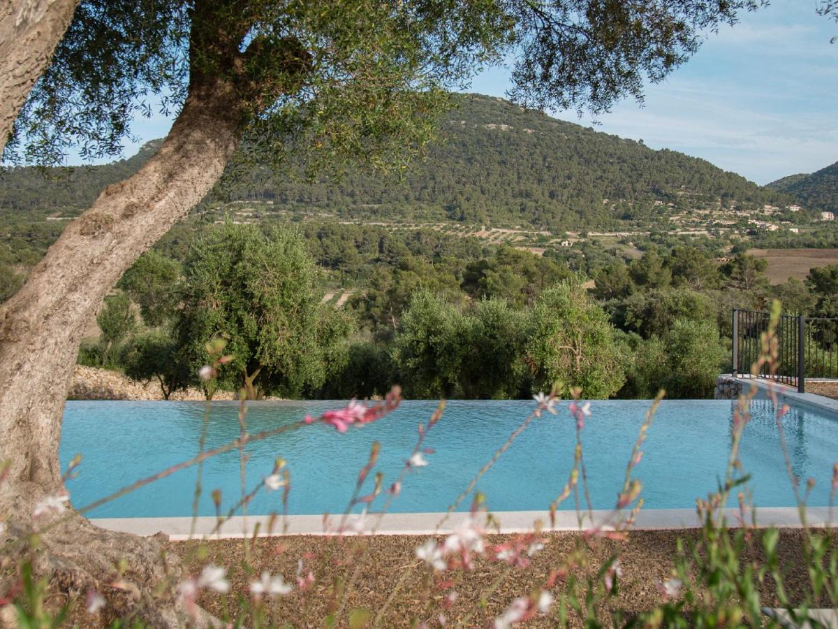 Fincahotel Treurer - Olive Grove & Grand House - Adults Only