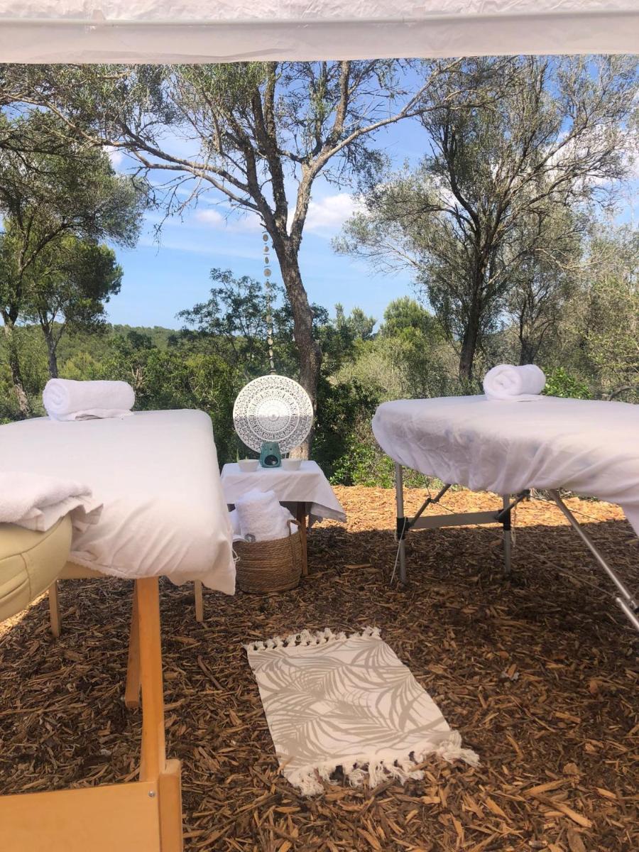 Fincahotel Treurer - Olive Grove & Grand House - Adults Only