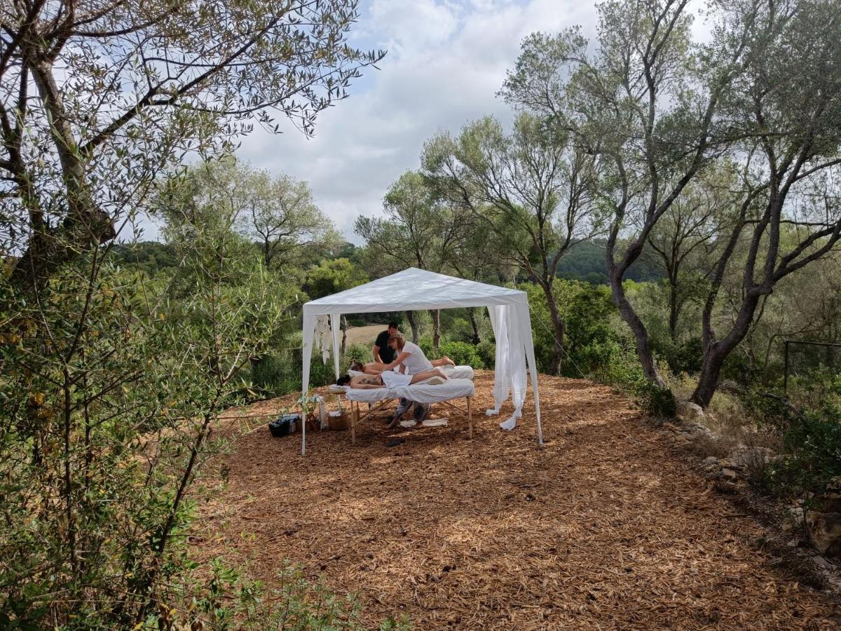 Fincahotel Treurer - Olive Grove & Grand House - Adults Only