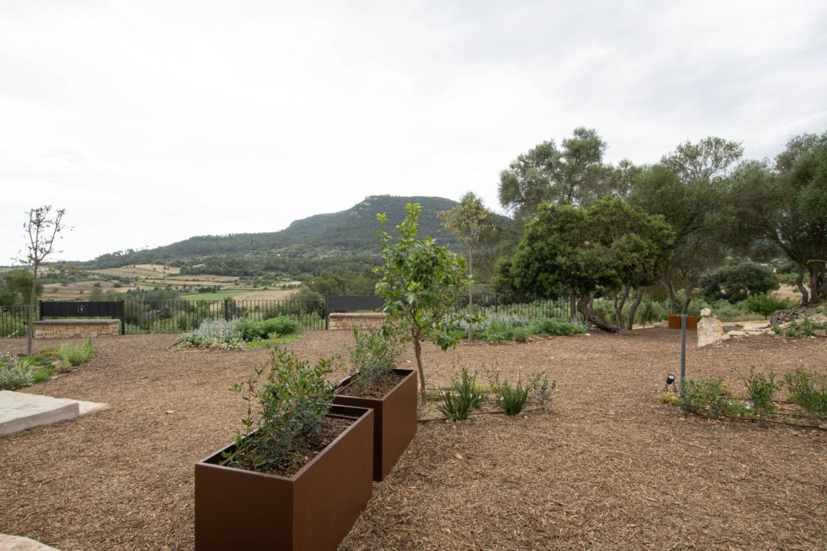 Fincahotel Treurer - Olive Grove & Grand House - Adults Only
