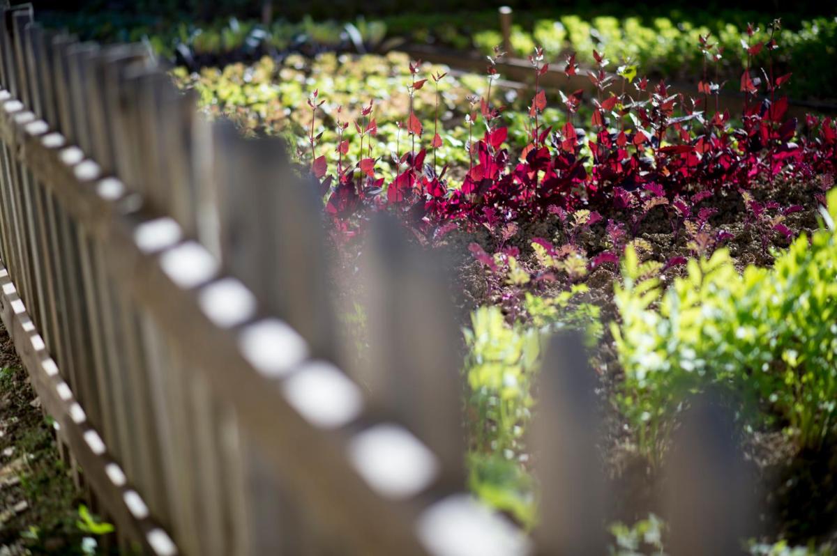 Flocons de Sel - Relais & Chateaux