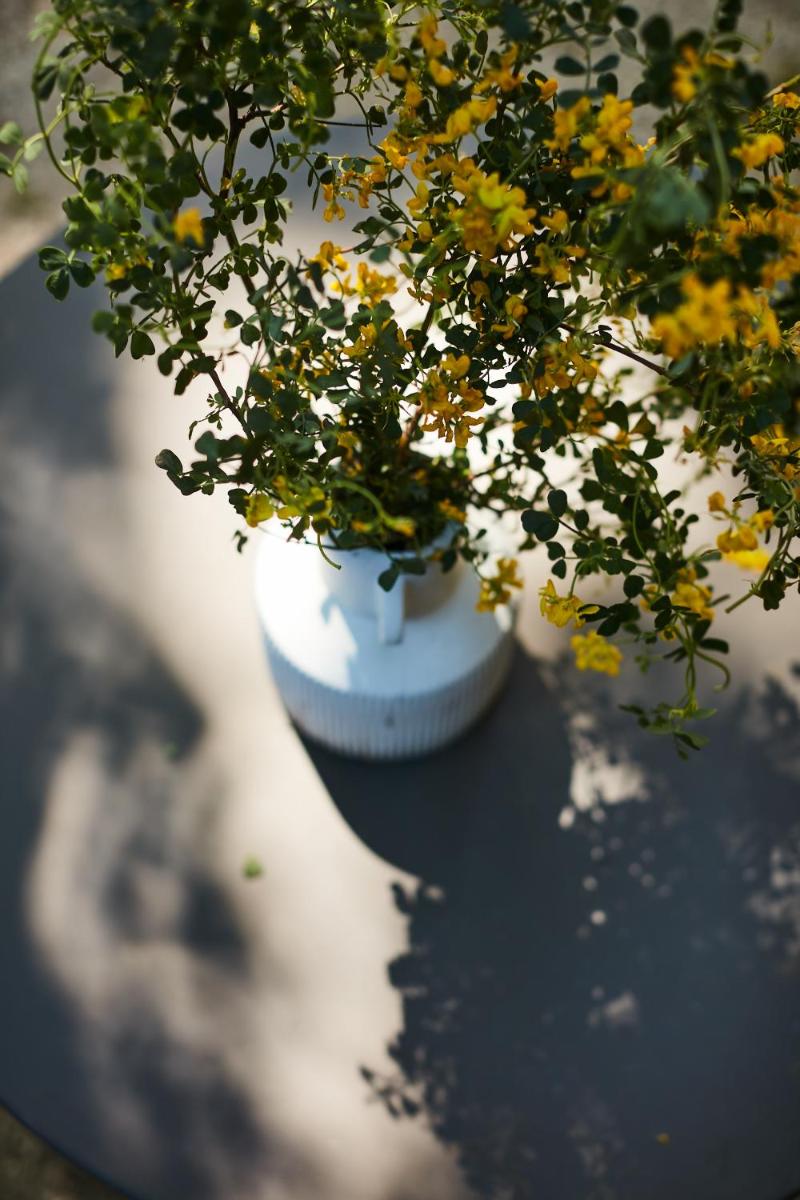 Fontclaire en Provence