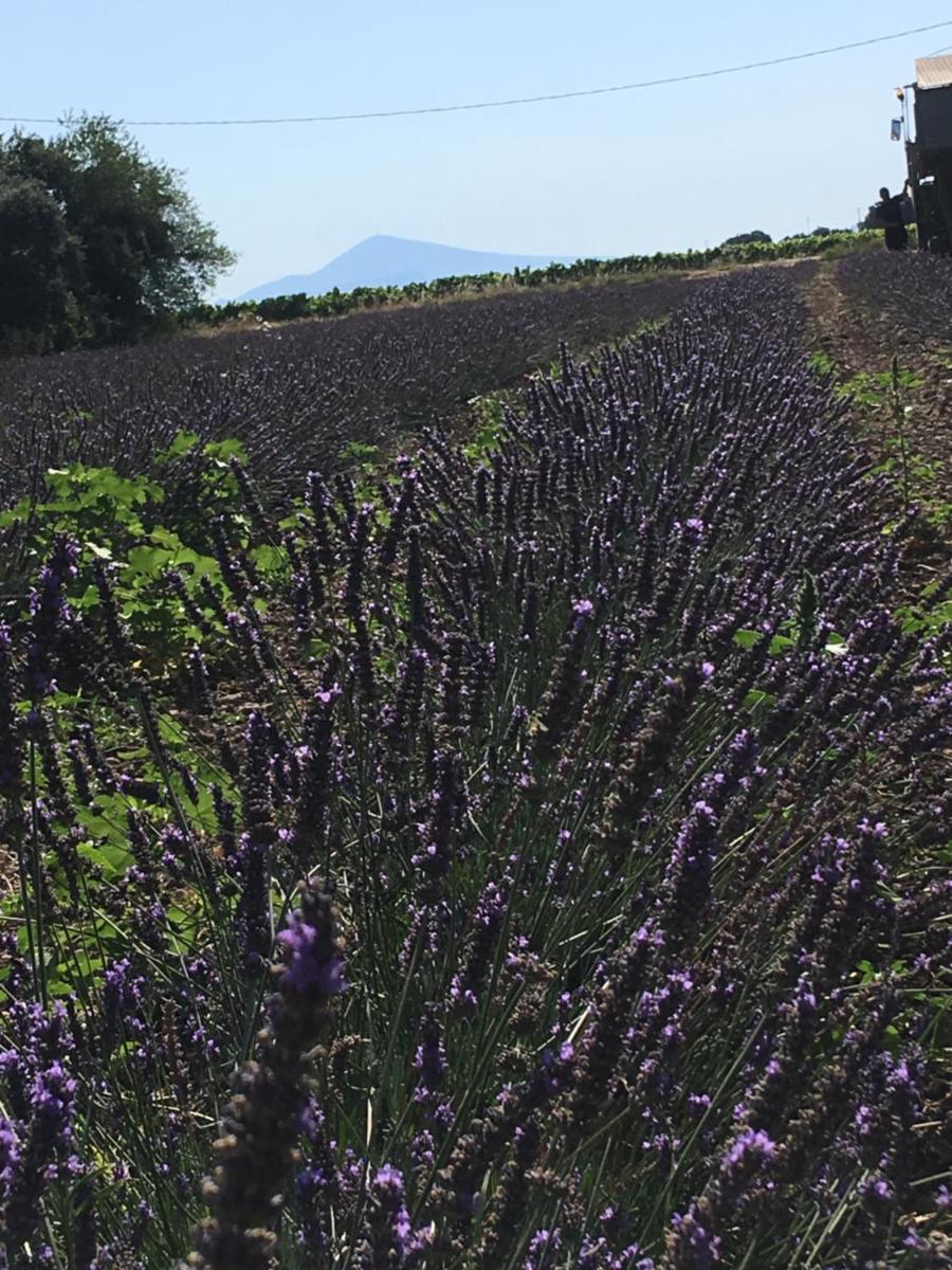 Fontclaire en Provence