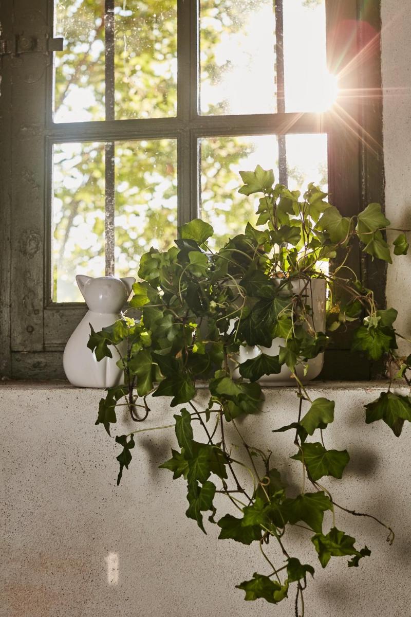 Fontclaire en Provence