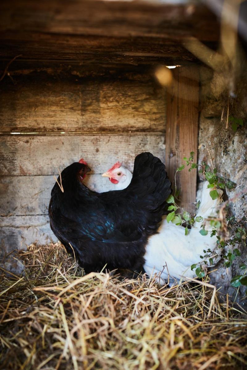 Fontclaire en Provence