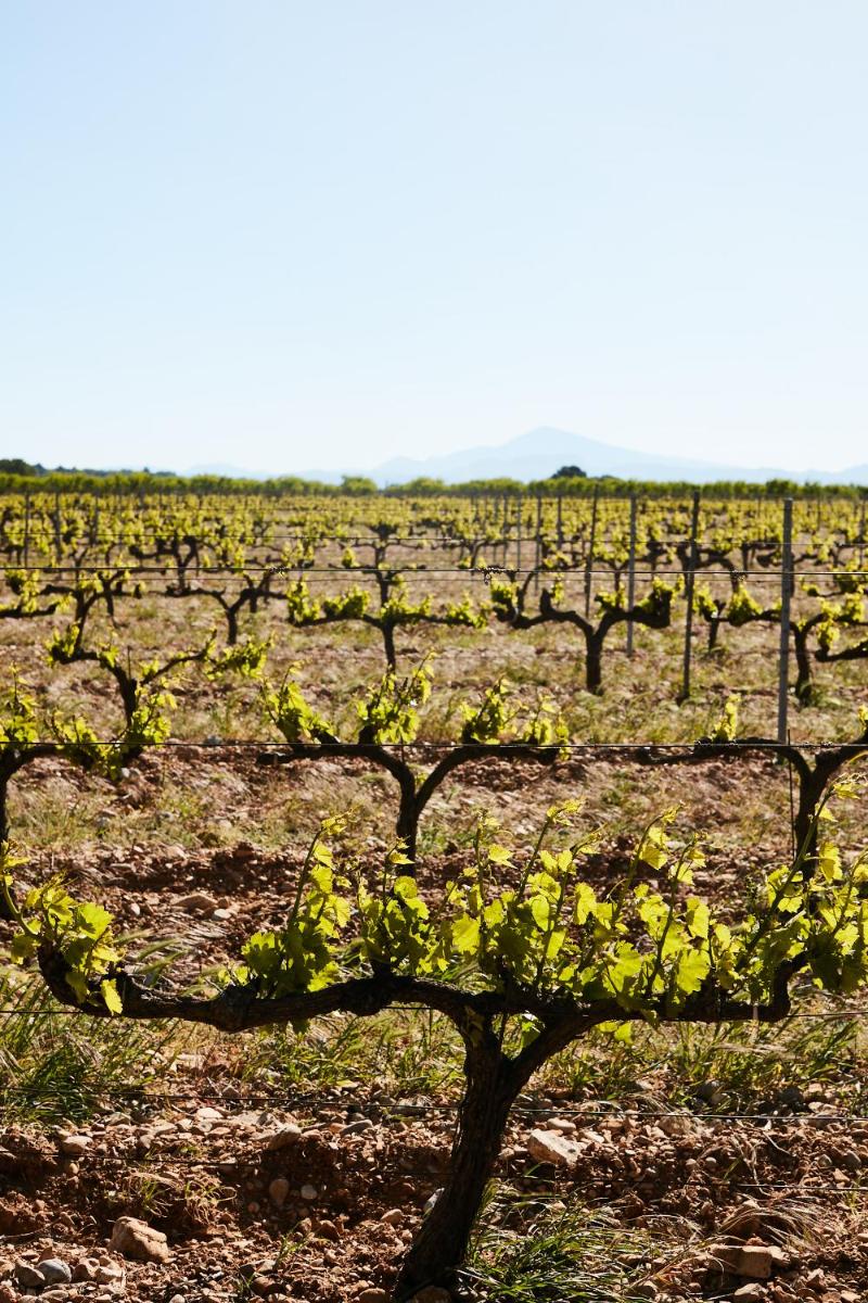 Fontclaire en Provence