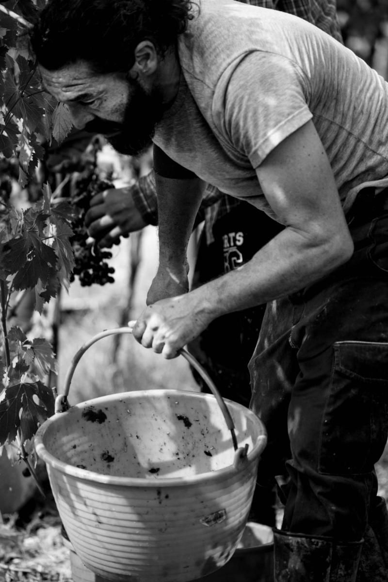 Filodivino Wine Resort & SPA