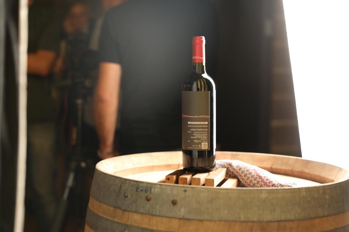 Filodivino Wine Resort & SPA