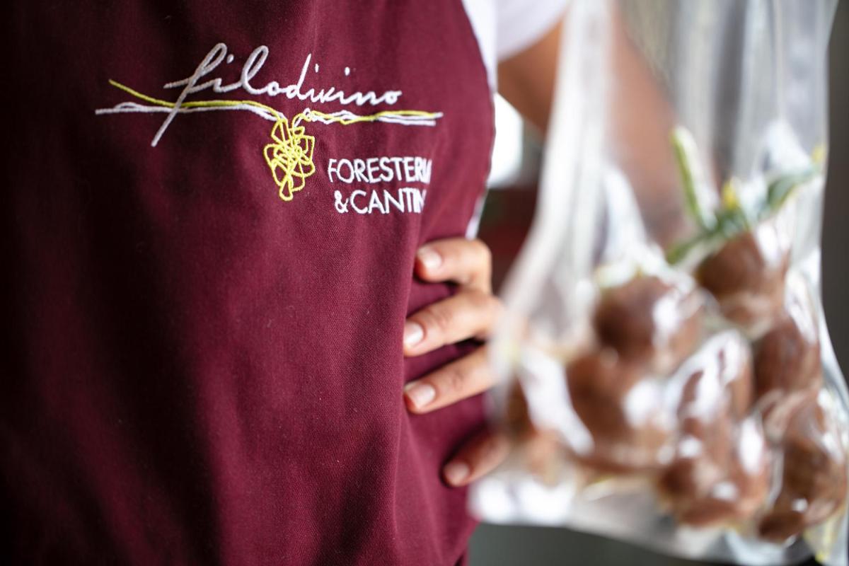 Filodivino Wine Resort & SPA