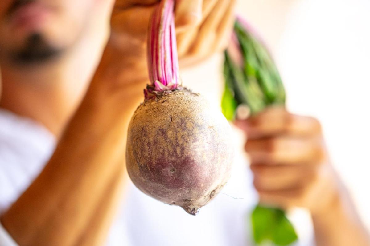 Filodivino Wine Resort & SPA