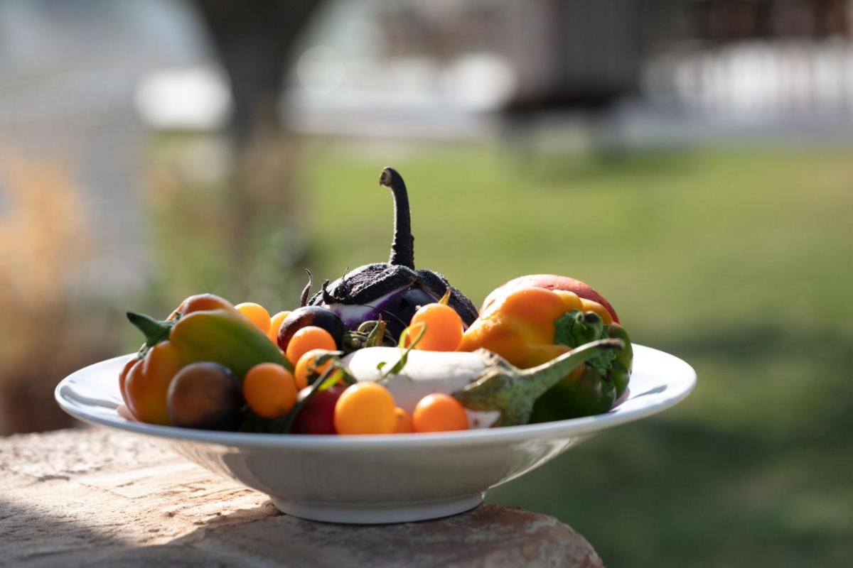 Filodivino Wine Resort & SPA