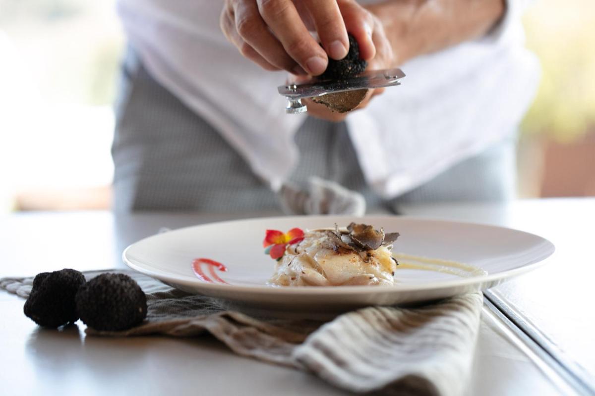 Filodivino Wine Resort & SPA