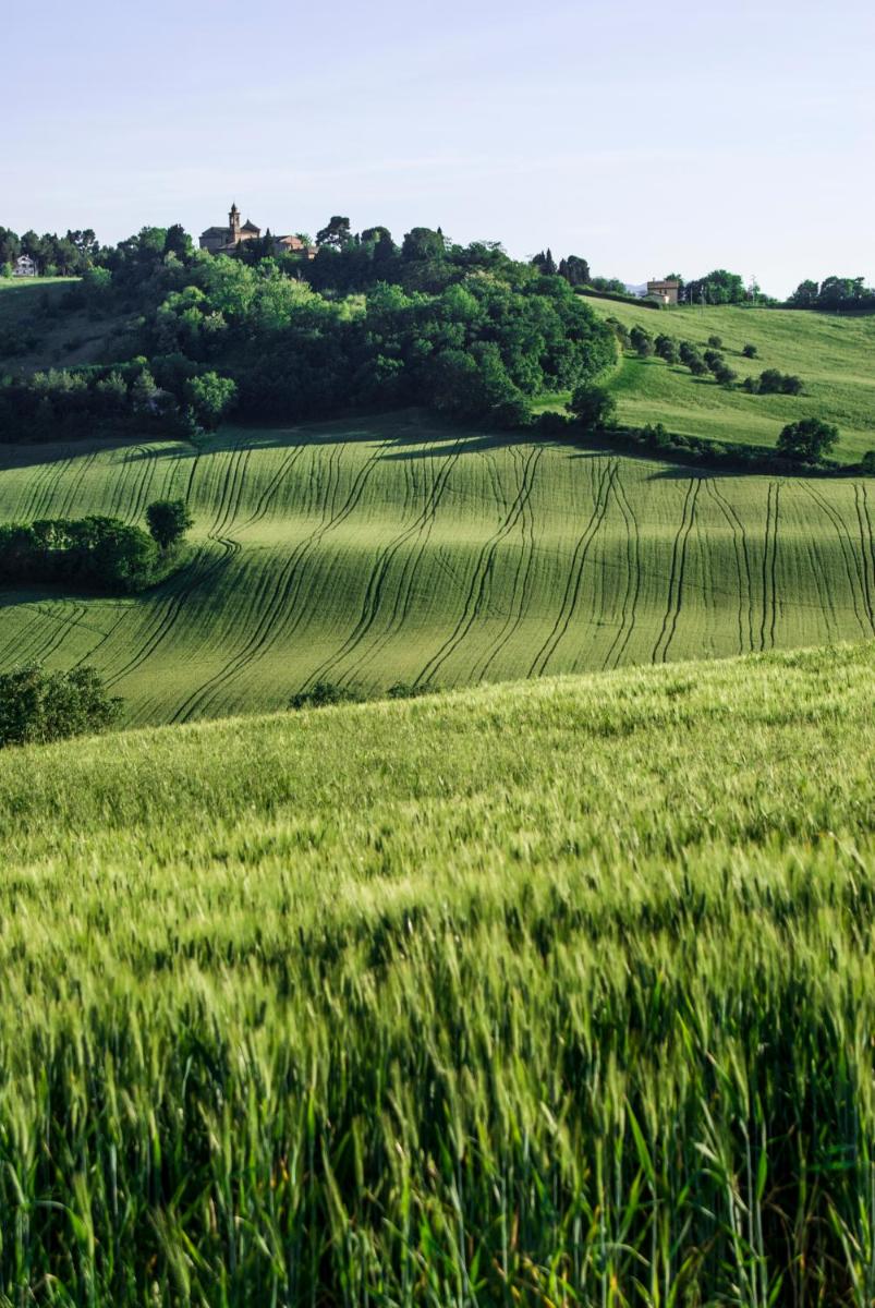 Filodivino Wine Resort & SPA