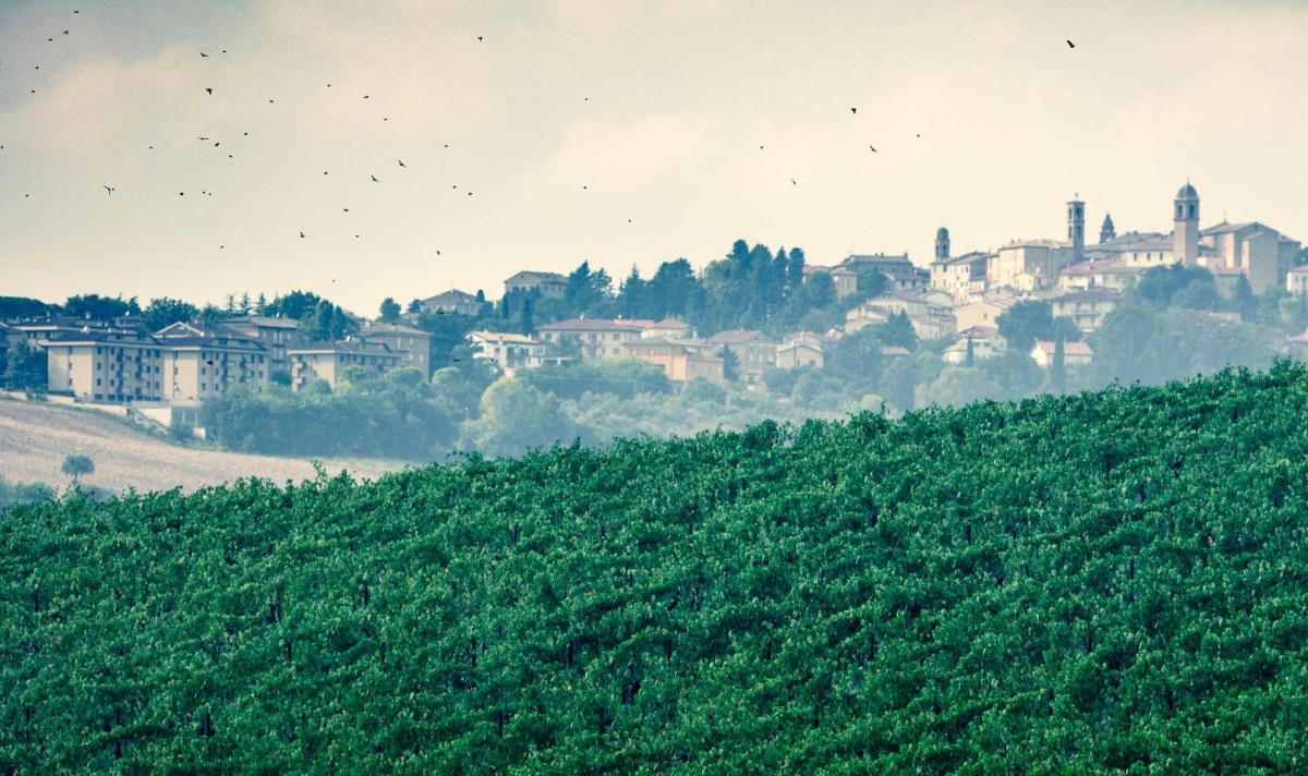 Filodivino Wine Resort & SPA