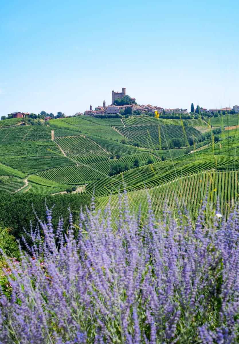 Foresteria, Winery & Events Destination