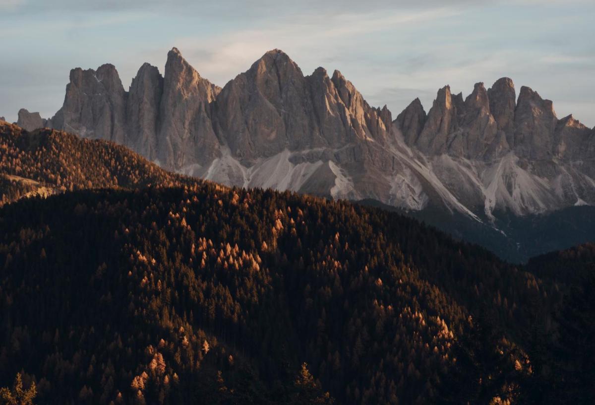 Forestis Dolomites