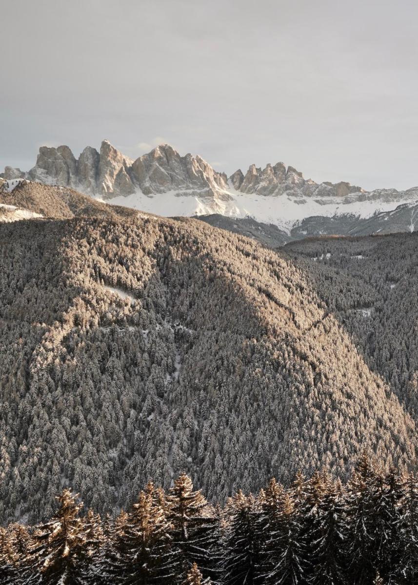 Forestis Dolomites