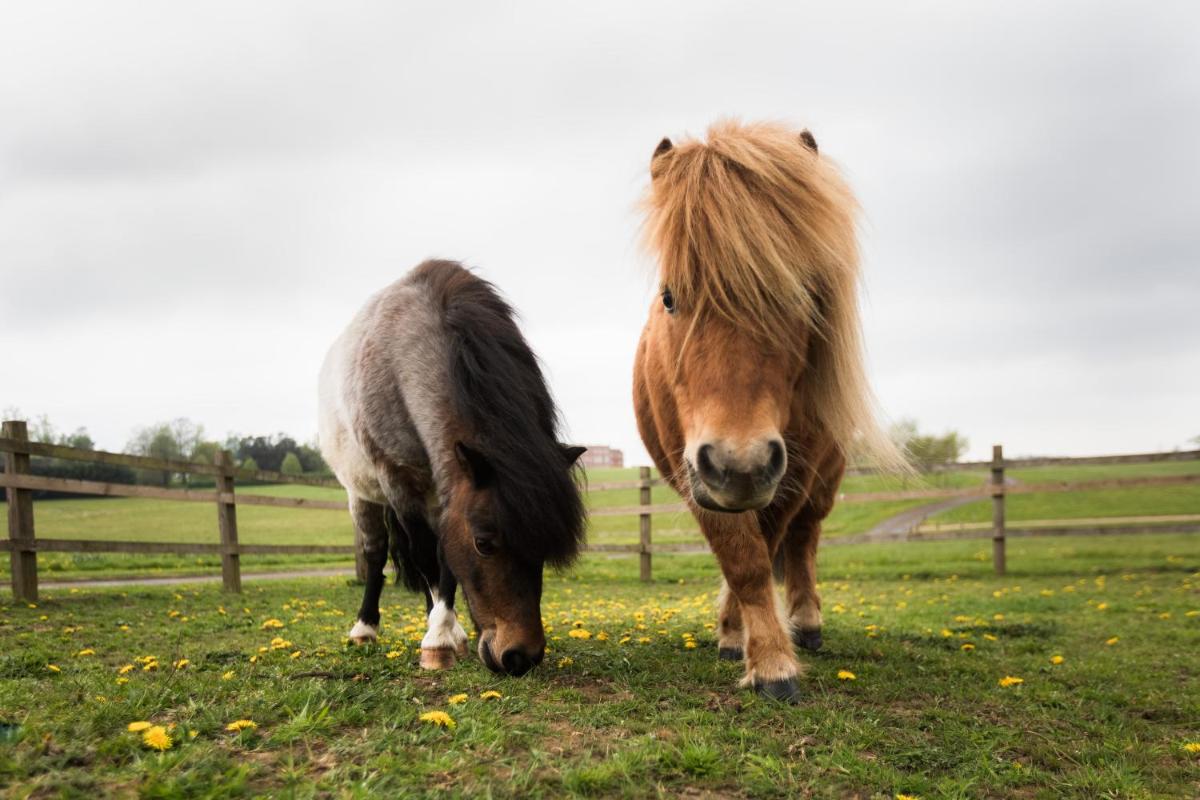 Four Seasons Hotel Hampshire