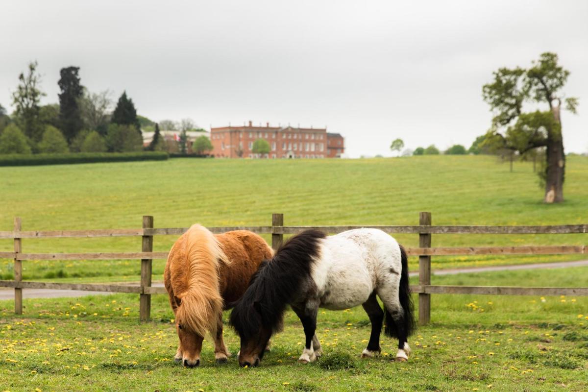 Four Seasons Hotel Hampshire