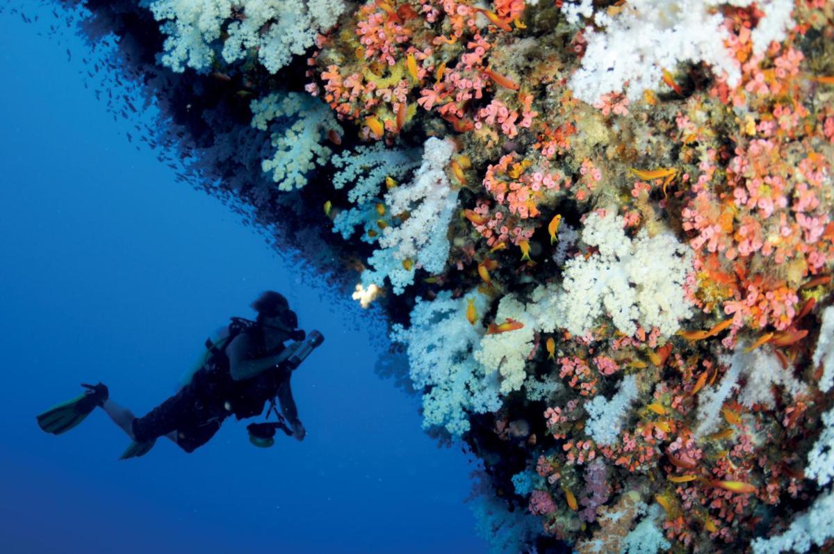 Four Seasons Resort Seychelles at Desroches Island